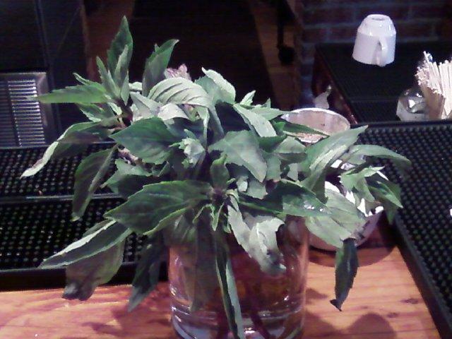 Thai Basil
